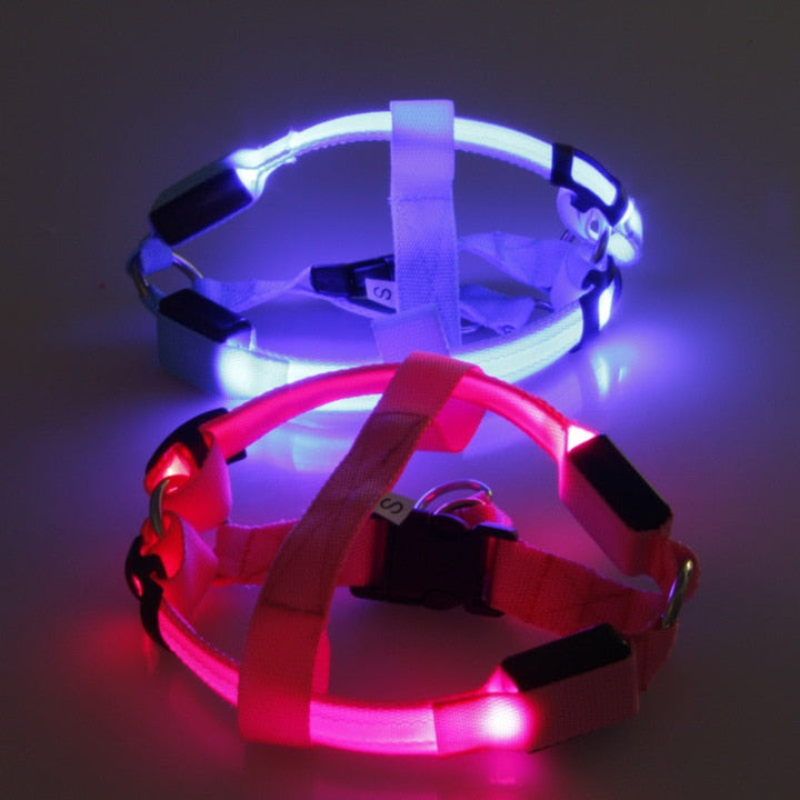 Szelki LED dla psa - Glow&amp;Go