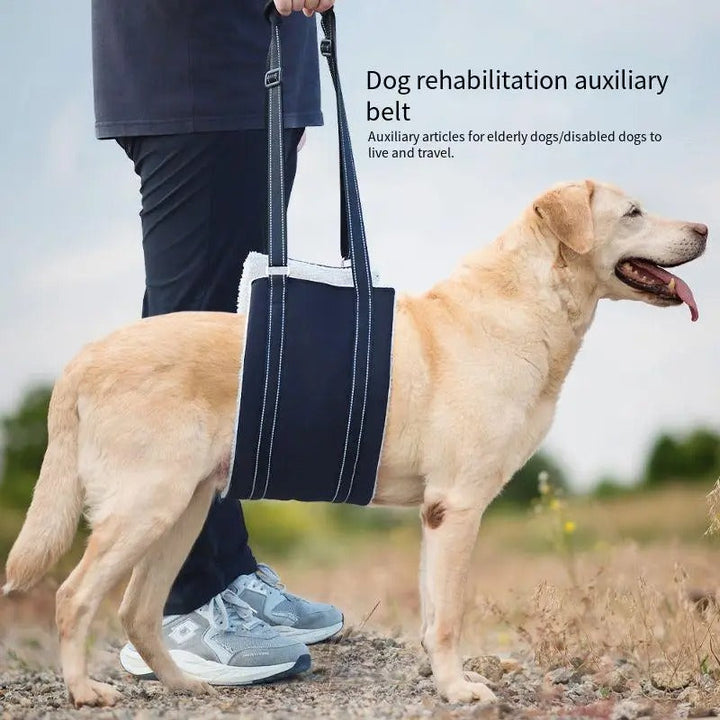 Szelki wspierające dla psa - Regulowany pas rehabilitacyjny
