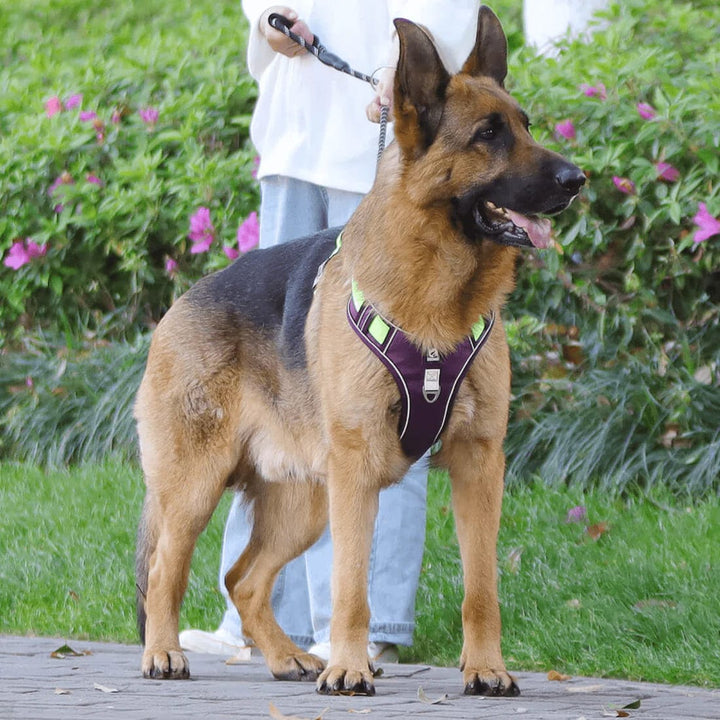 PawsControl - Ostateczna Szelki dla Psów Bez Ciągnięcia