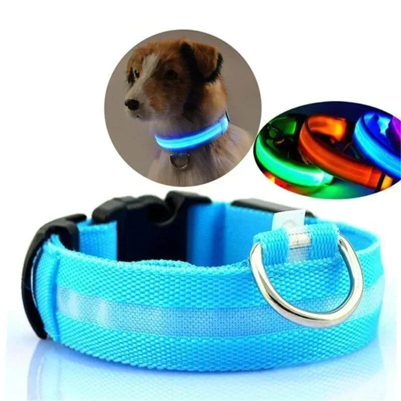 Obroża LED GlowPets – Bezpieczeństwo i Widoczność dla Zwierząt