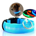 Obroża LED GlowPets – Bezpieczeństwo i Widoczność dla Zwierząt