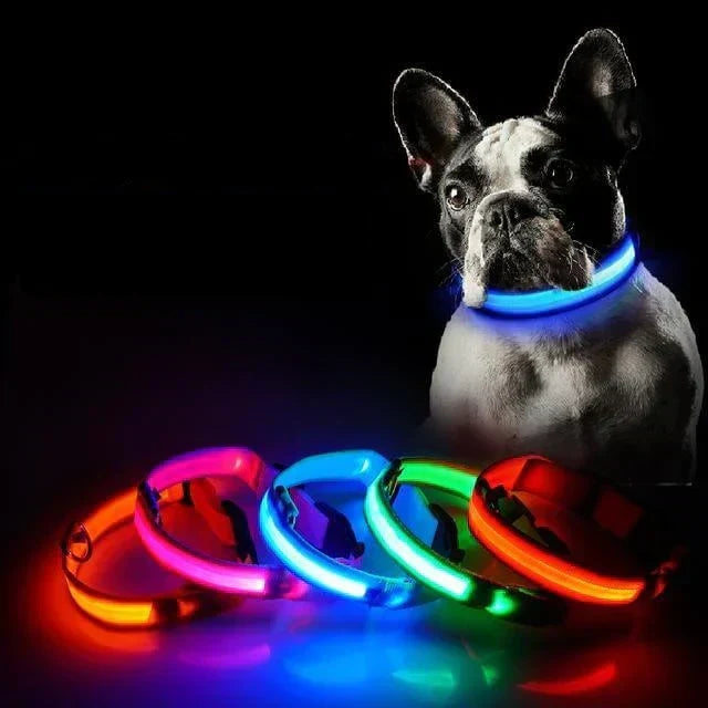 Obroża LED GlowPets – Bezpieczeństwo i Widoczność dla Zwierząt