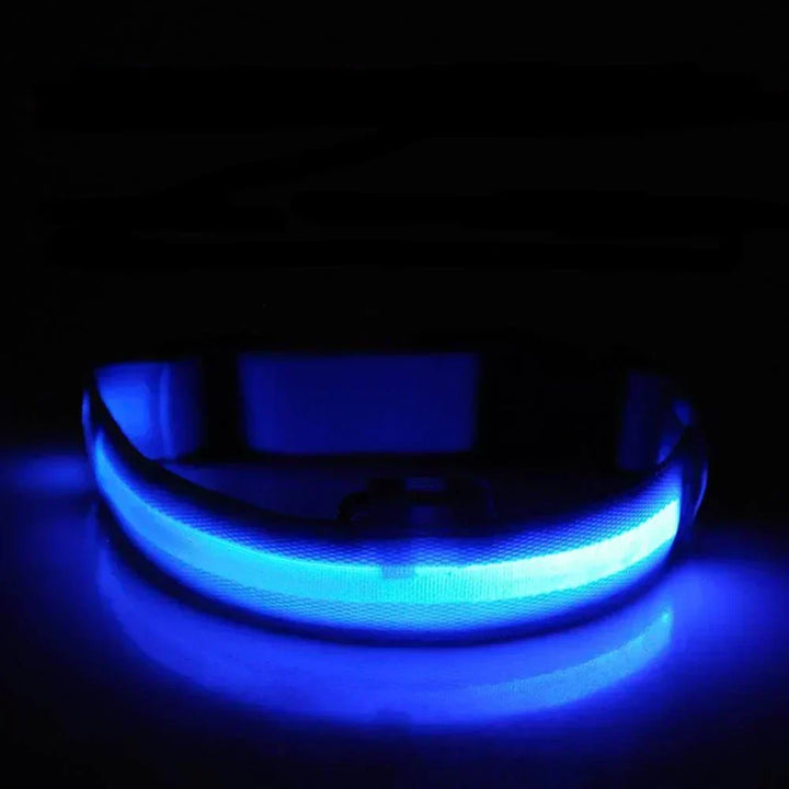 Obroża LED GlowPets – Bezpieczeństwo i Widoczność dla Zwierząt