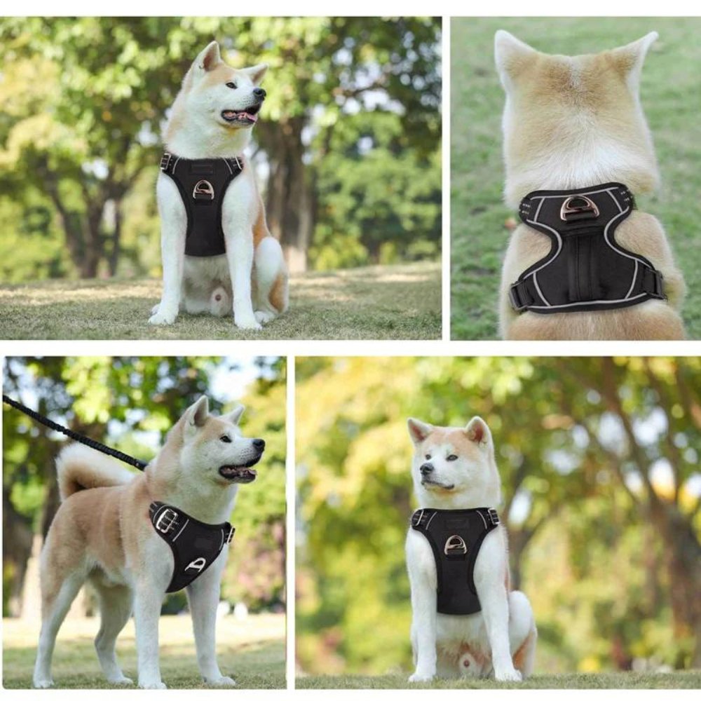 PowerHarness •  Szelki dla psa bez ciągnięcia