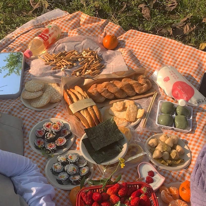 Koc Piknikowy w Kratkę Clementine