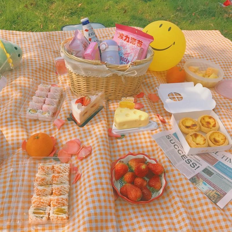 Koc Piknikowy w Kratkę Clementine