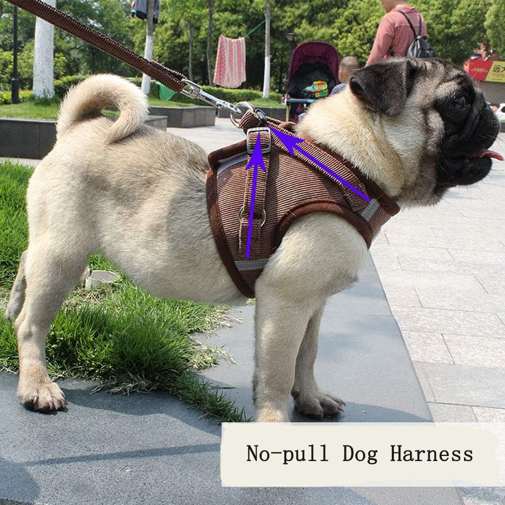 ReflectaHarness • Szelki dla psa bez ciągnięcia