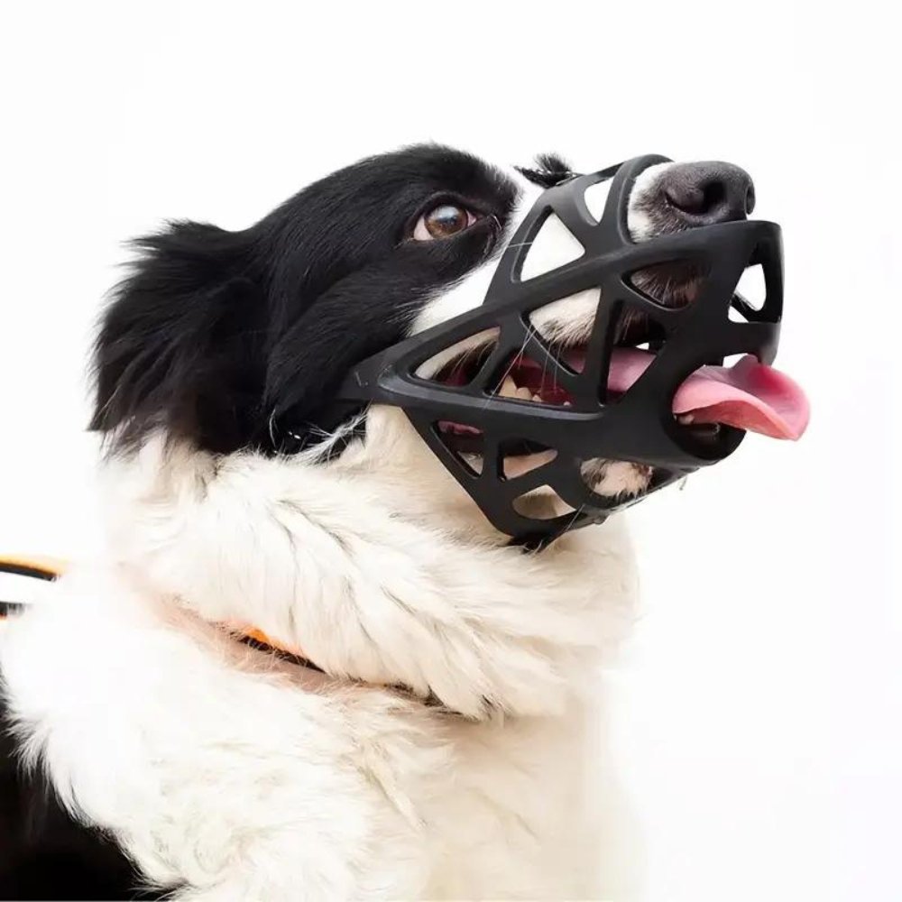SafeBark • Kaganiec dla psa