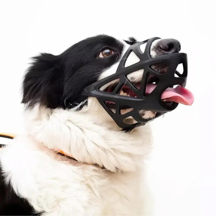 SafeBark • Kaganiec dla psa