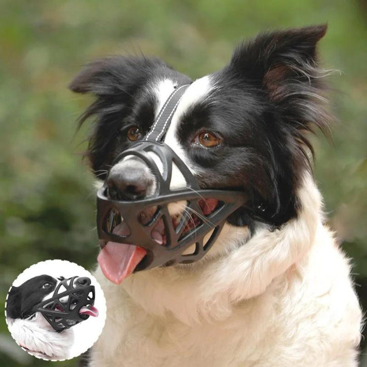 SafeBark • Kaganiec dla psa