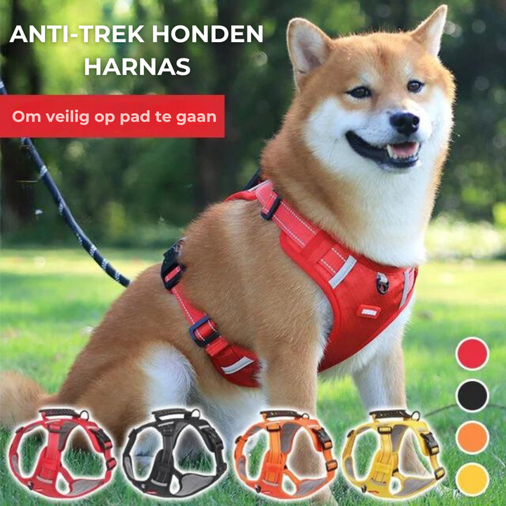 Solidny i Wygodny Szelki dla Psów - ActivePup™