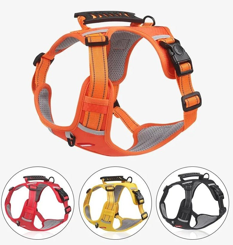 Harnas WalkEase – Harnas dla psa zapobiegający ciągnięciu, dla relaksujących spacerów i zdrowej postawy