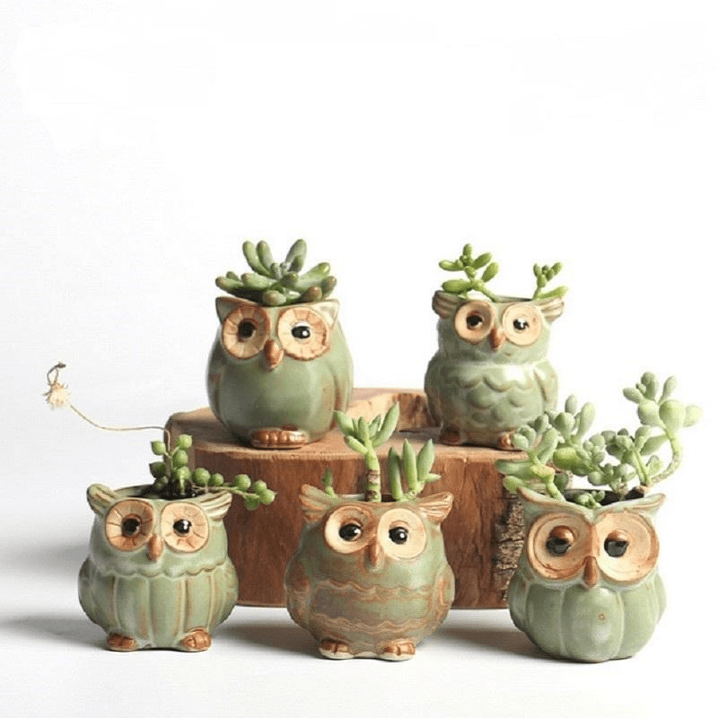 Zestaw ceramicznych doniczek z sowami 5-elementowy