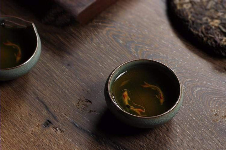 Bowl z rybkami Koi